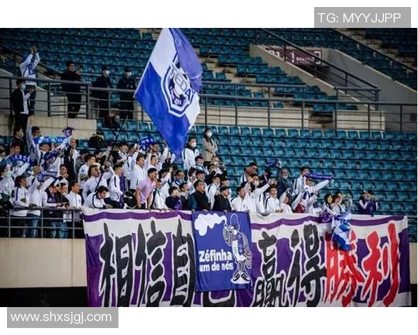 天津泰达与深圳佳兆业激战在即10月21日精彩对决值得期待