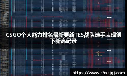 3377体育官网